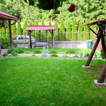 Casa Alina Villa Arieşeni Dış mekan fotoğraf
