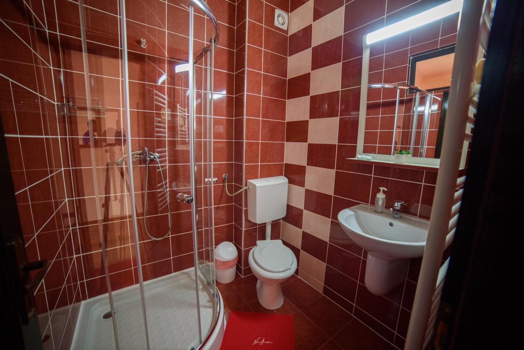 Casa Alina Villa Arieşeni Dış mekan fotoğraf